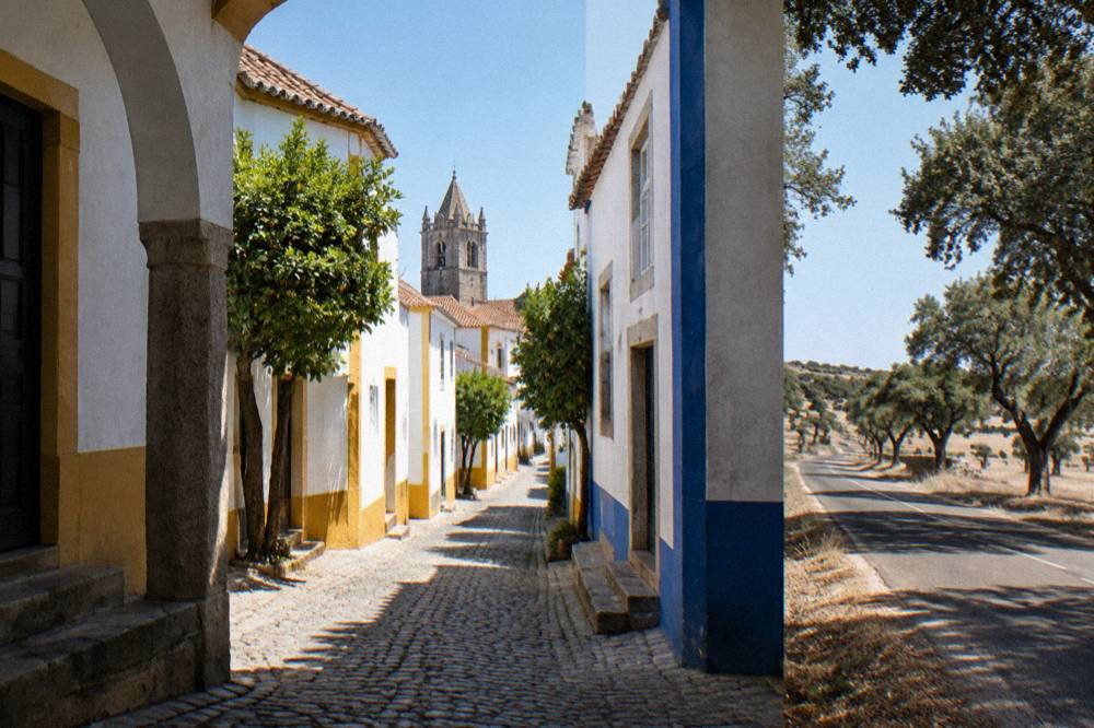 Open Alentejo road lined with cork oak trees leading toward Évora