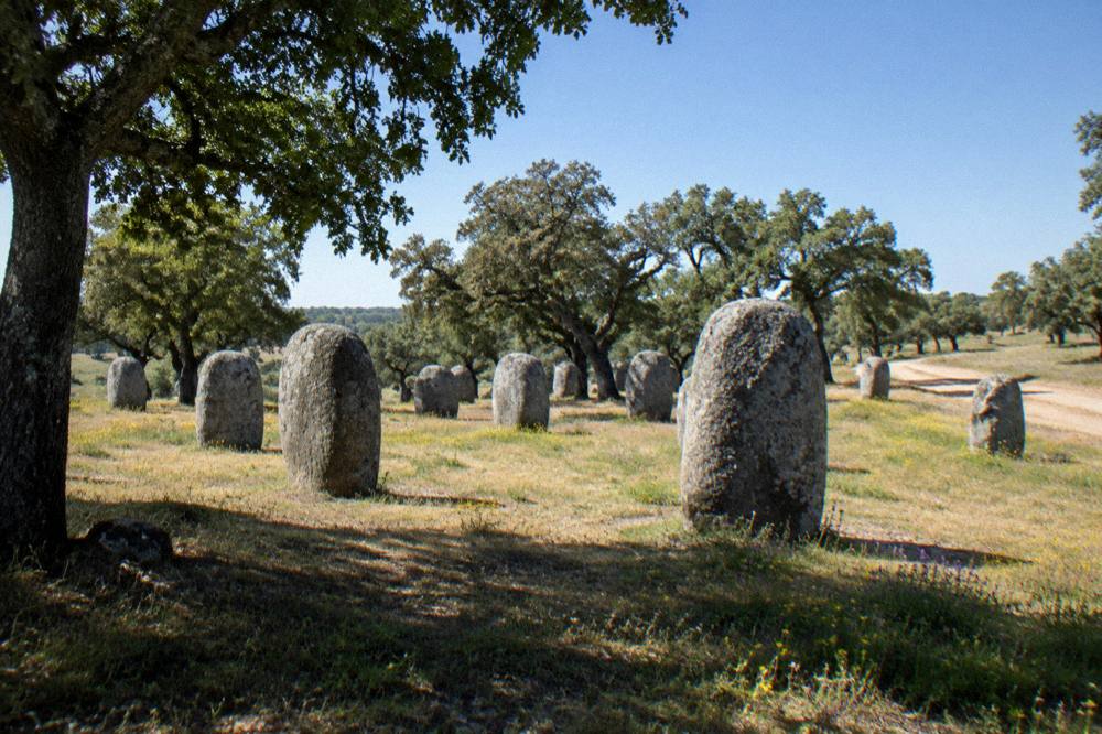 Spring wildflowers growing around standing stones at the Almendres cromlech under a clear sky