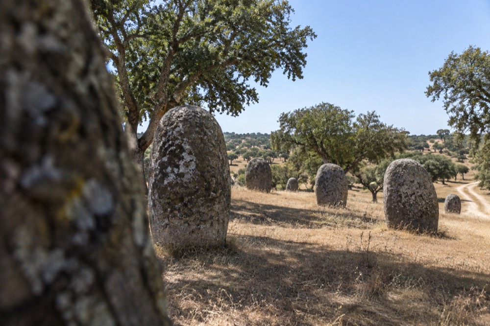 Standing stones of a cromlech arranged on a grassy slope among cork oaks