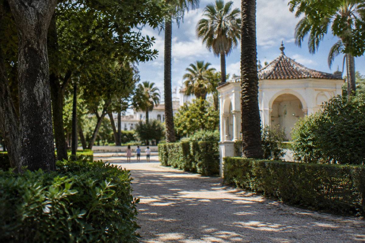 A shaded old town garden of tall palms and gravel paths where small children play far from the camera