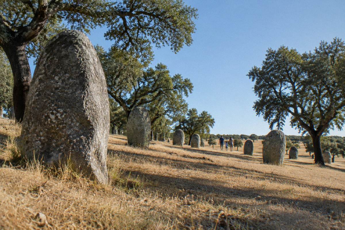 A field of rounded granite standing stones among cork oaks where a family walks far from the camera