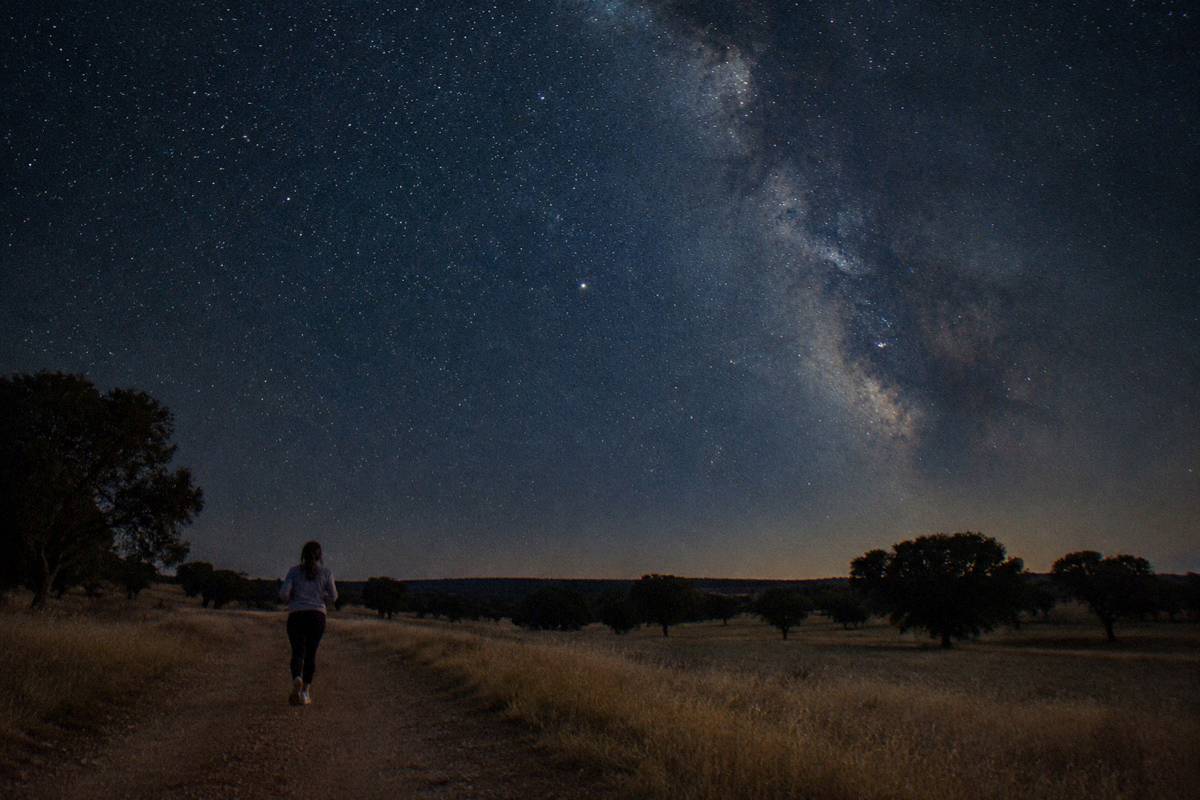 A deep night sky dense with stars and the pale band of the Milky Way over a dark rolling plain and cork oaks