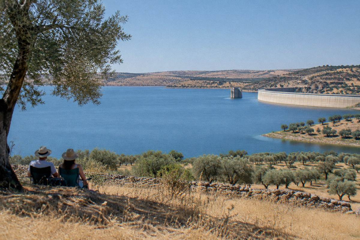 A vast calm blue lake between dry golden hills with olive groves on the shore under a bright cloudless sky