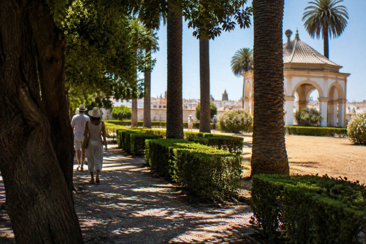 Deep shade under tall palms and old trees on a gravel path in a garden while the sun glares beyond