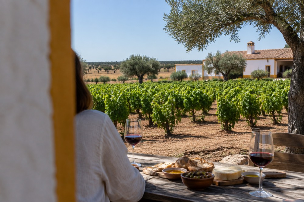 A rustic Alentejo lunch of bread, cheese and olives on a wooden table.