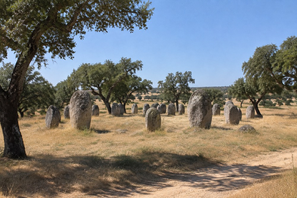 Standing stones of the Almendres cromlech rising from grass and cork oaks